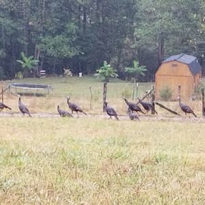 Meet your Posher, Darlene